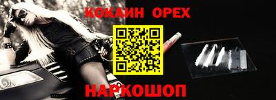 спайс Кингисепп