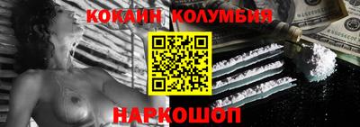 спайс Кингисепп