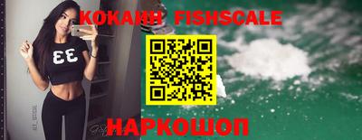 амф Кимры