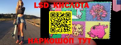 спайс Кингисепп