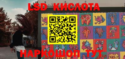 индика Кинель