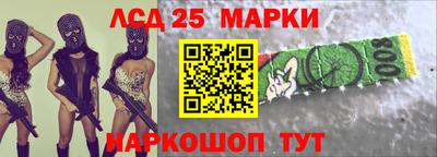 спайс Кингисепп
