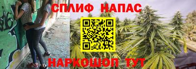 индика Кинель