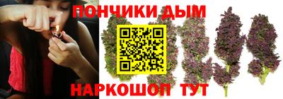спайс Кингисепп