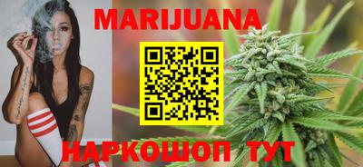 индика Кинель