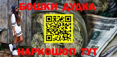 спайс Кингисепп